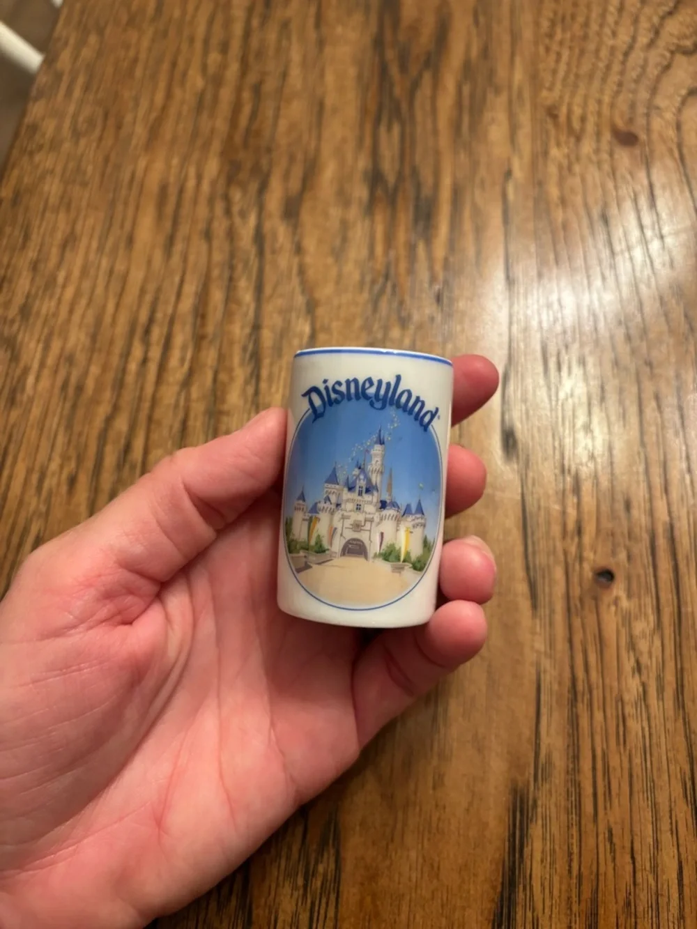 Vintage Disneyland Sleeping Beauty Castle Mini Porcelain Toothpick Holder Cup